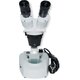 Binocular Microscope XTX-7C-W (10x; 2x/4x) Preview 1